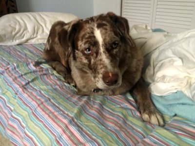What Do You Mean "Your" Bed?