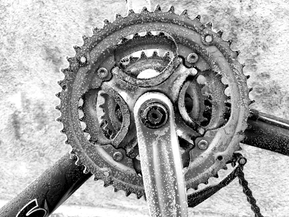 2020/366/56 Iced Cog