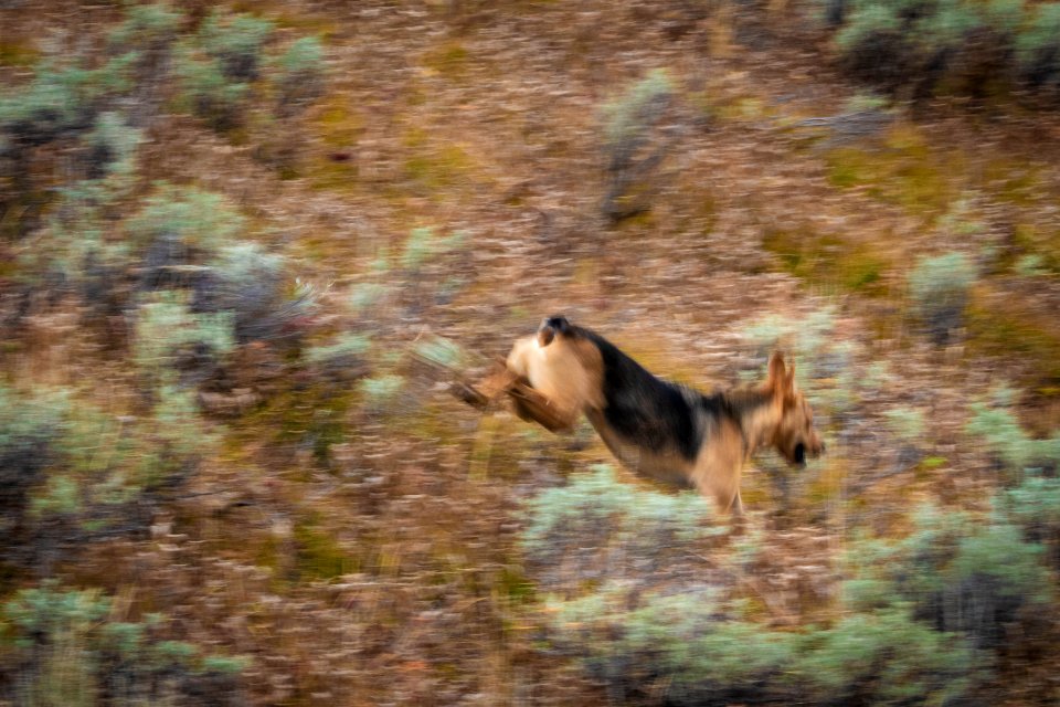 20190911-FS-PJK-00910 TONED