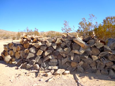Dry Firewood