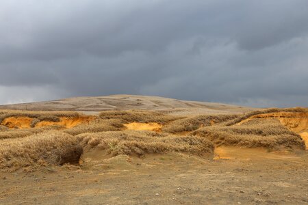 Landscape nature dune photo