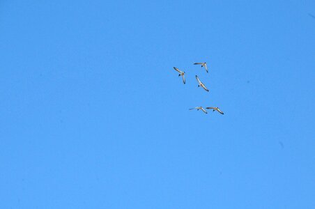 Blue nature sky