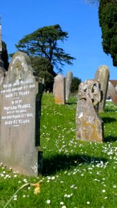 Woodbury Salterton Devon