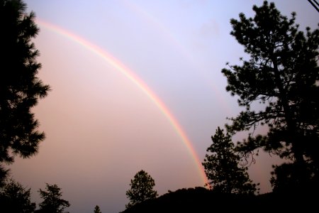 Strawberry Under the Rainbow