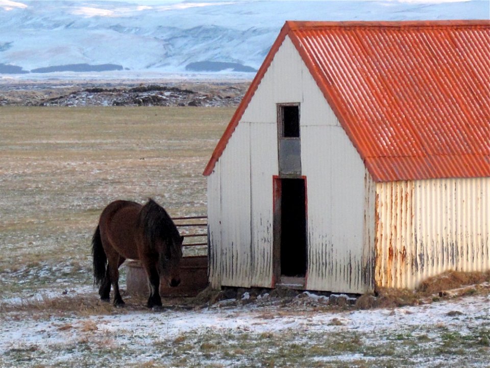 Breakfast By Hekla