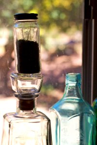 Basil Bottle on the Bottles
