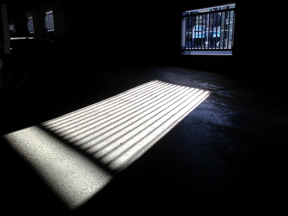 2015/365/66 Illuminating