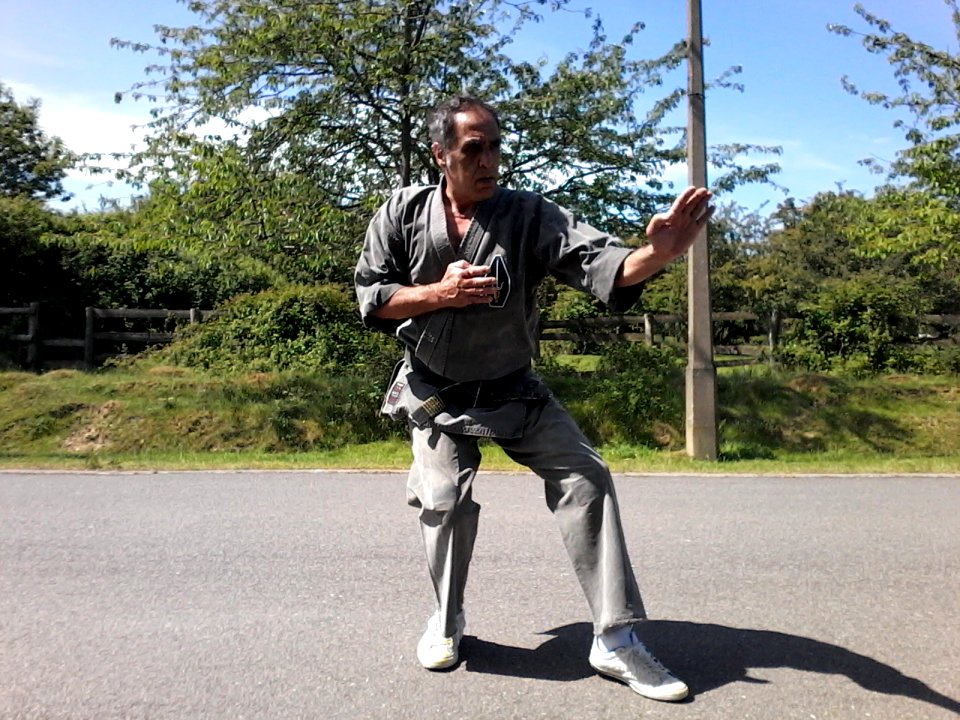 Grandmaster Karate