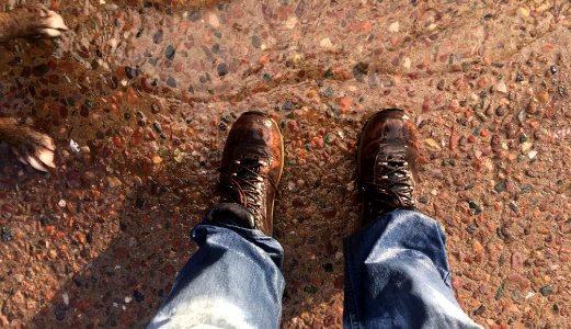 2017/365/59 Our Feet Do Not Fear The Crossing