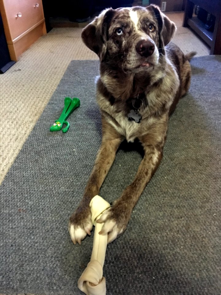 Rawhide > Green Rubber