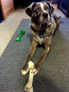 Rawhide > Green Rubber