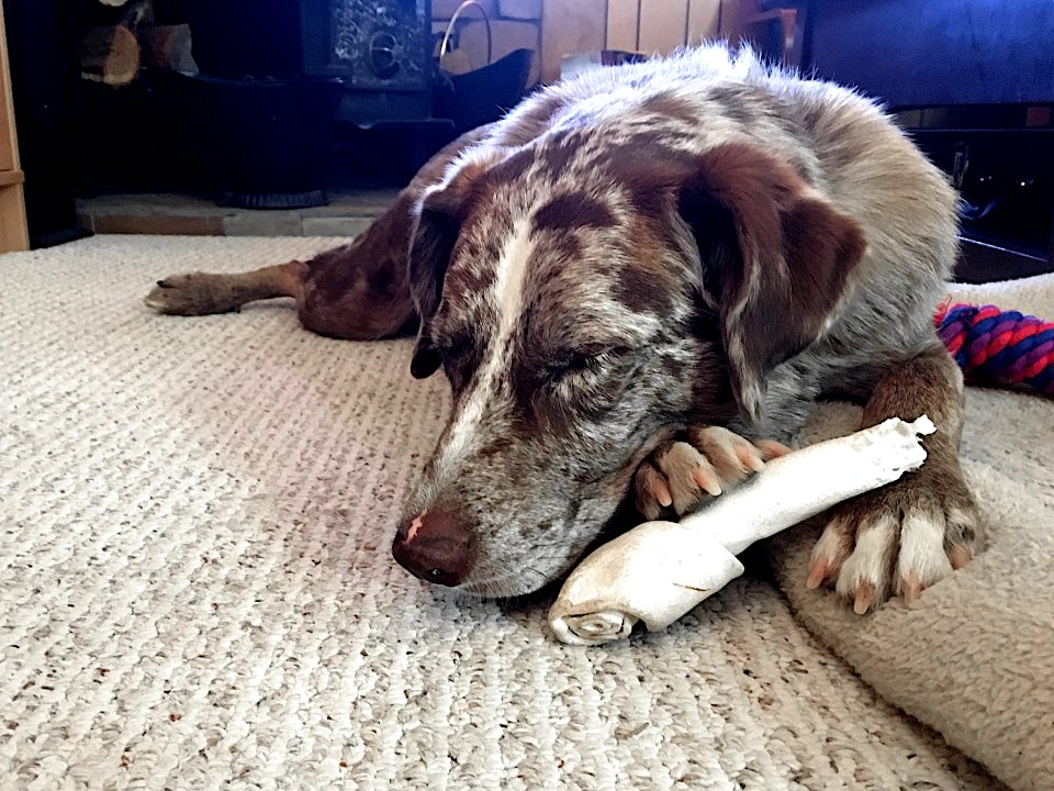 With this Bone The World's Okay