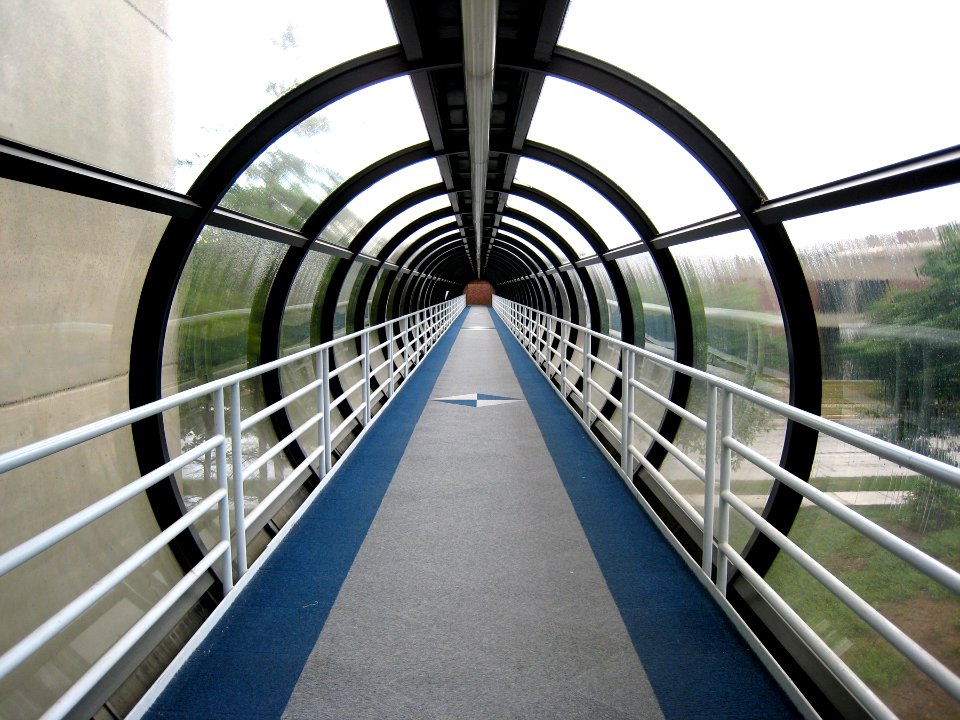 In the Human Habitrail