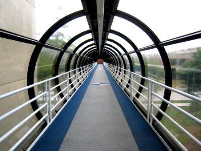 In the Human Habitrail