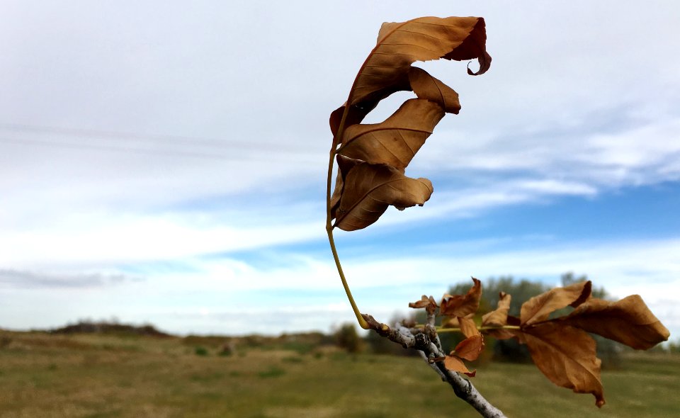 Fighting the Breeze