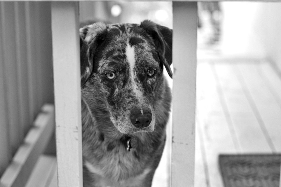 "That" Look in Classic Black and White