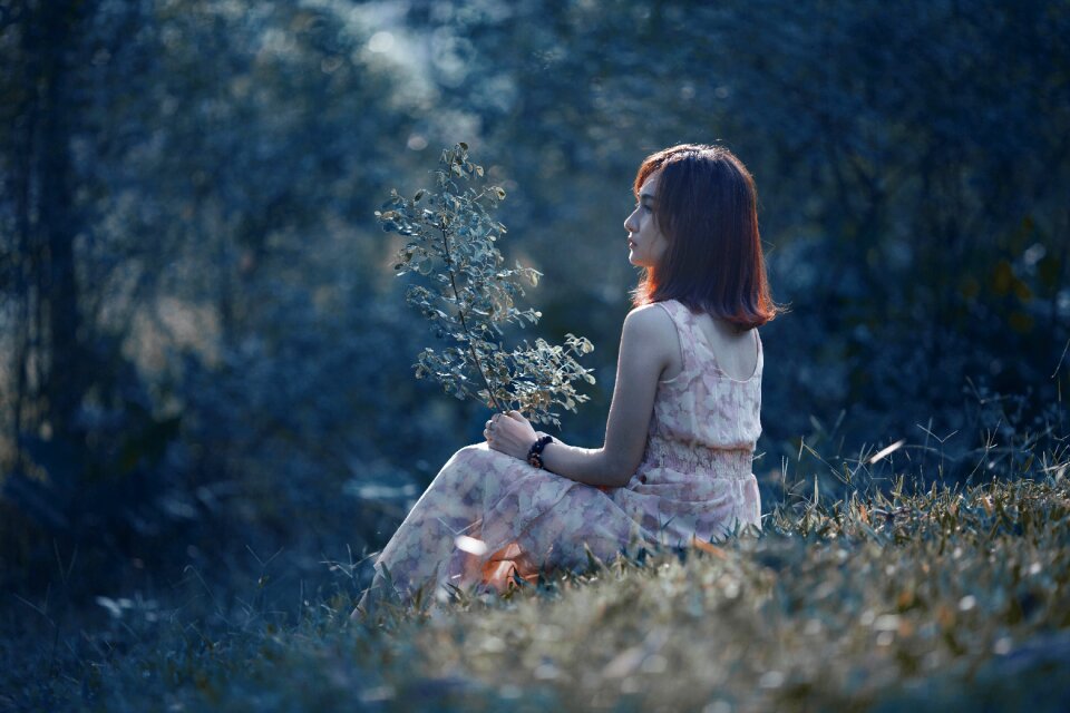 Spring landscape model
