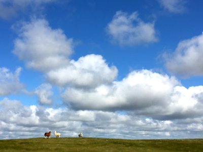 2018/365/206 Three Llama Hill