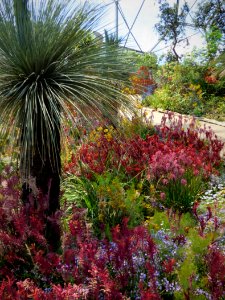 Eden Project 2018