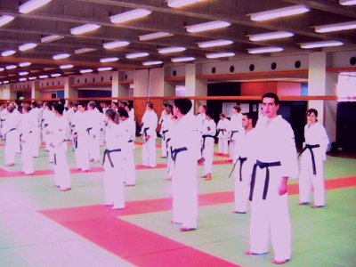 日本武道傳 少林寺流空手道勇心門について
