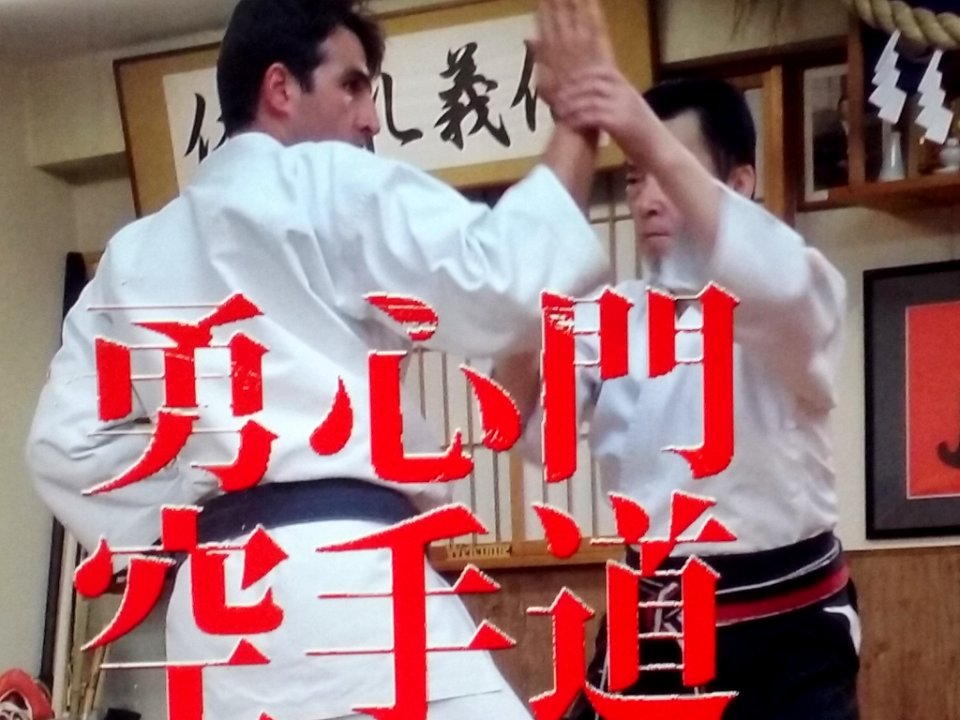 Seyedalitabatabaei# karate# master