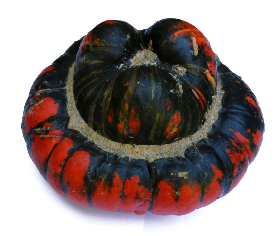 Halloween holiday harvest