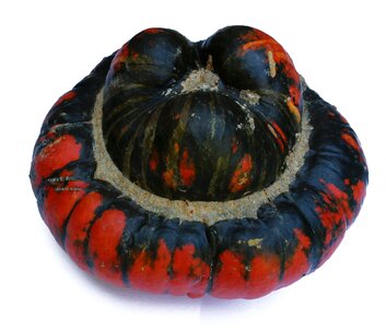 Halloween holiday harvest