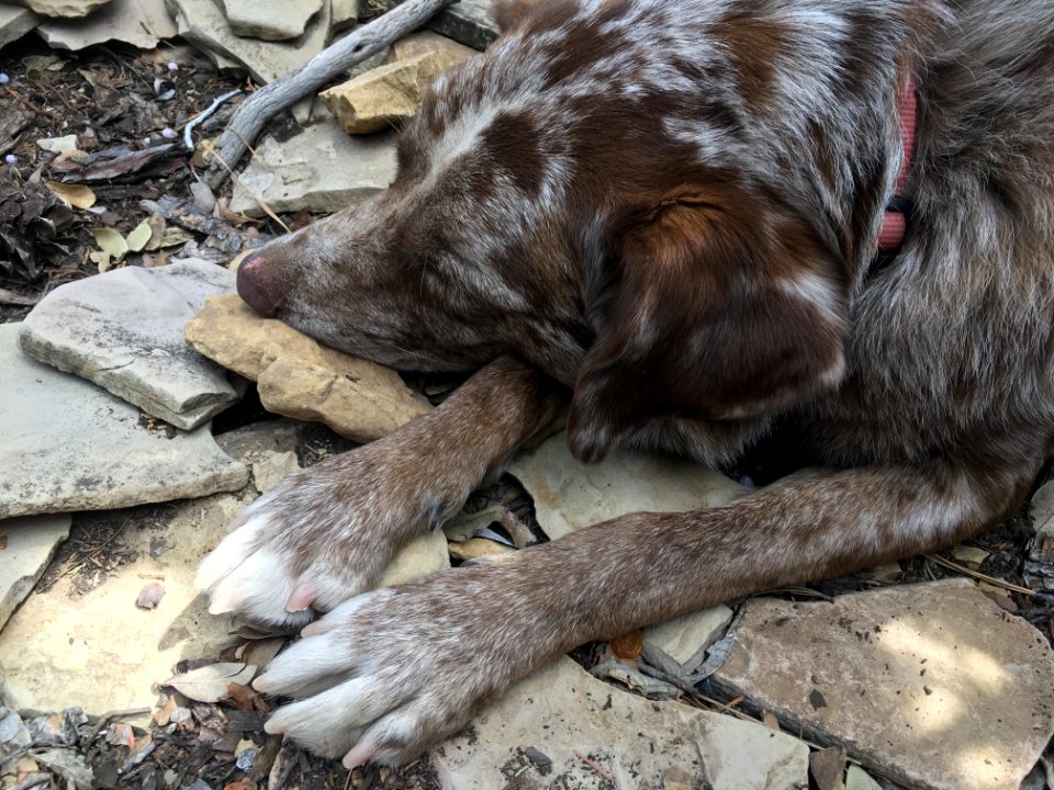 Sleeping on Sandstone