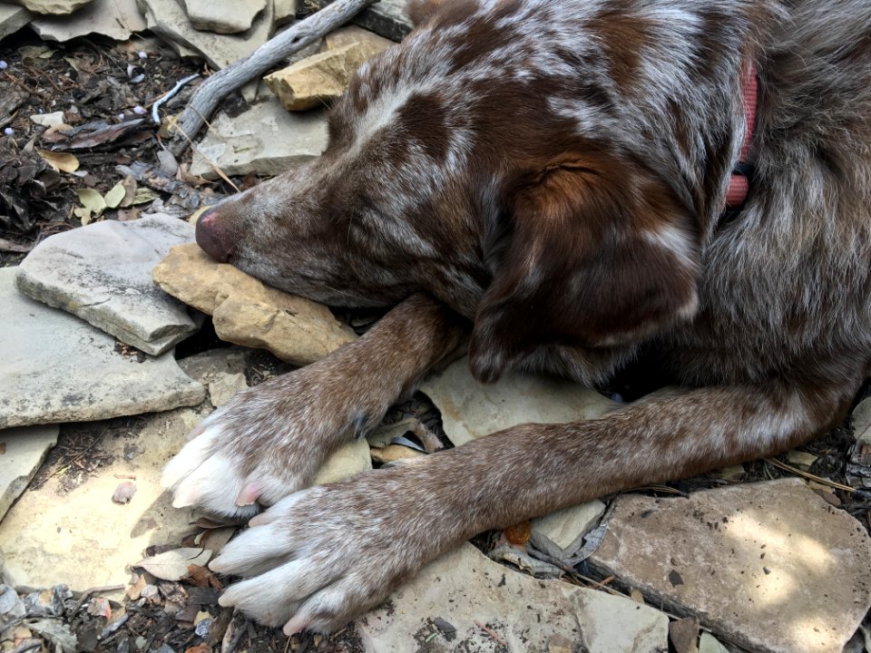 Sleeping on Sandstone photo