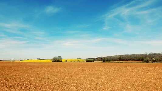 Cotswold Farmland (Spring)