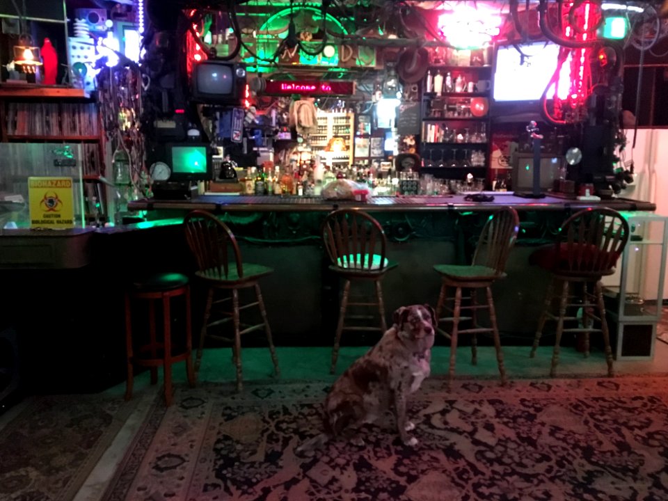 Where is Everyone? I Heard Elwood's was the Happening Place