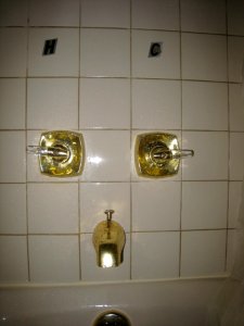 Saratoga Inn Shower Interface