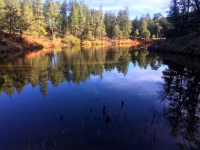 Strawberry Lake?