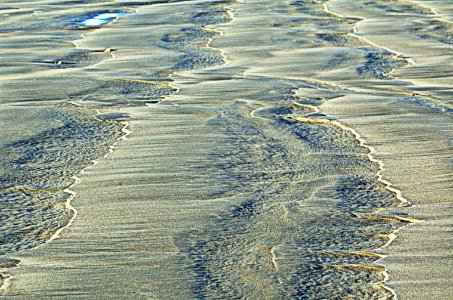 PATTERNS IN THE SAND