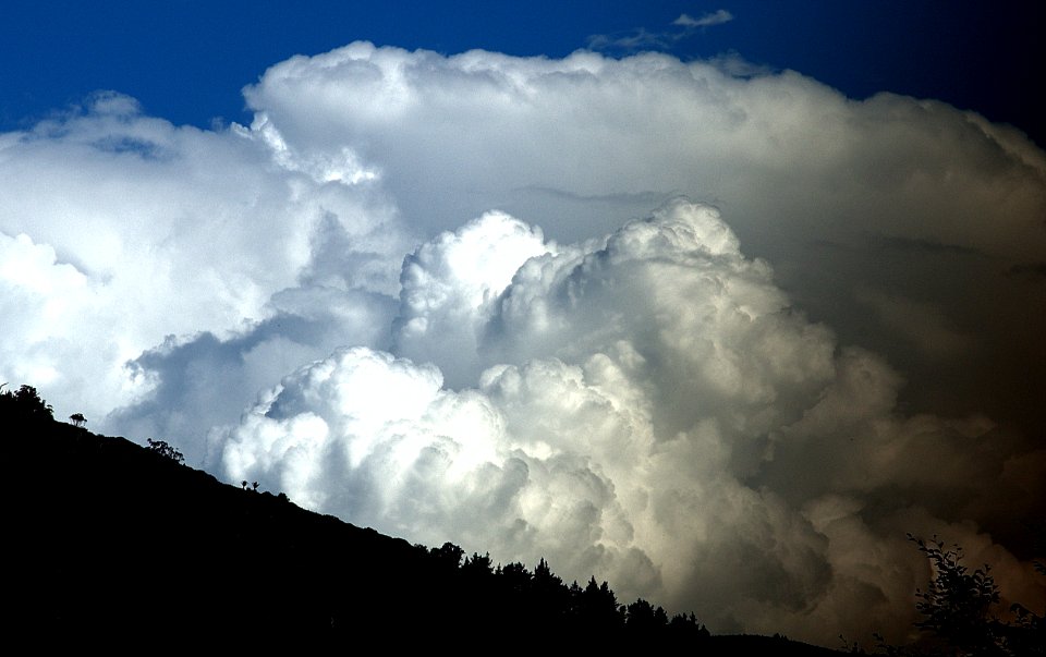 CUMULUS CONGESTUS, WAIKANAE, NZ