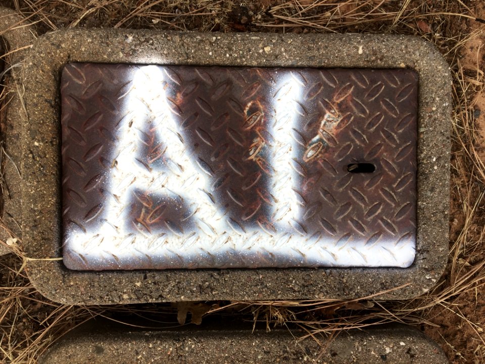 Are You Seeking AI?