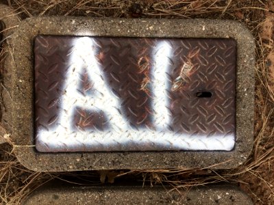 Are You Seeking AI?