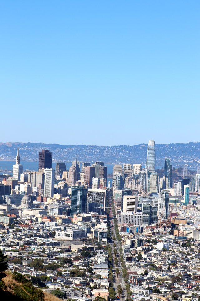Salesforce Tower, Market Street and the Ferry Building from Twin Peaks