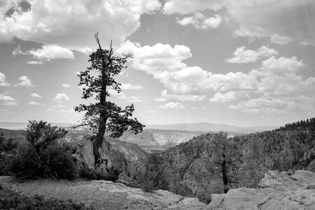 Lonely clouds crags