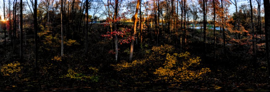 20181103-OC-LSC-0033