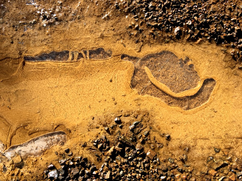Frozen Mud Art