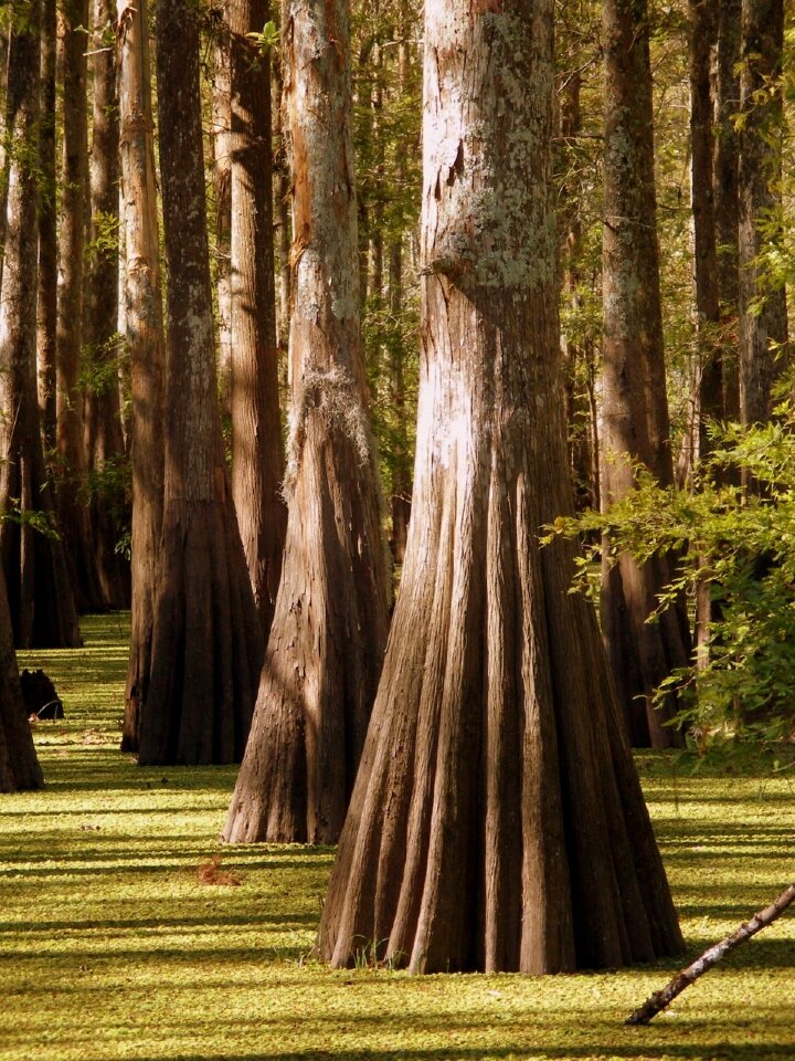Scenic outdoors scenery