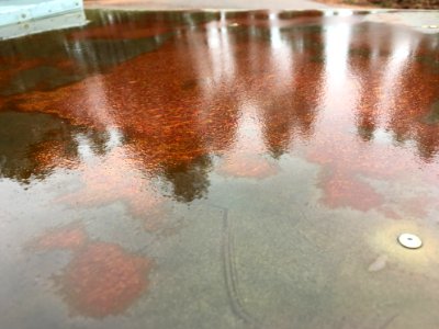 Rusty Pond