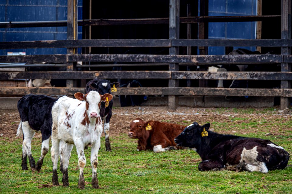 20200306-FSA-FarmLoanOfficer-0333 TONED