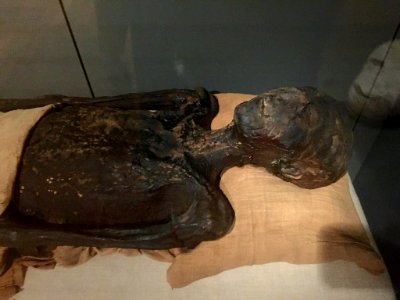 Mummy in Museo egizio