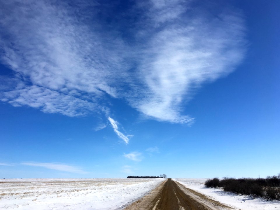 Let's All Meet at the Horizon