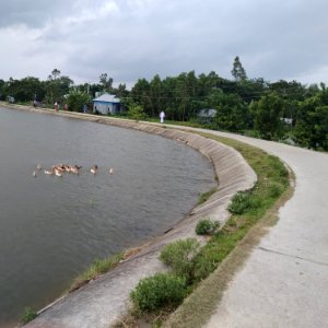 Bangalpara to Austagram road.  Photo taken from Bangalpara highway, of Kishoreganj district. (Captured by Misbah).