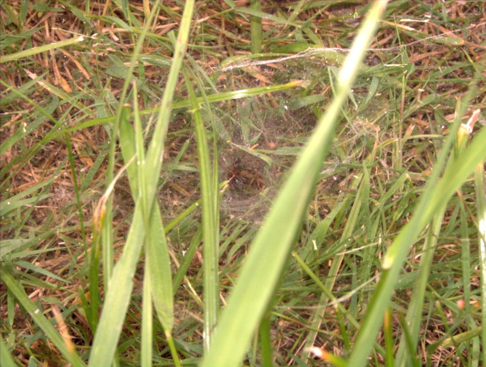 DSCF3086 (2)