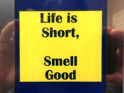 Washroom Wisdom