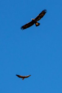 20190827-NRCS-LSC-0787
